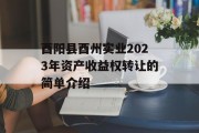 酉阳县酉州实业2023年资产收益权转让的简单介绍