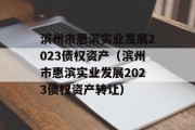 滨州市惠滨实业发展2023债权资产（滨州市惠滨实业发展2023债权资产转让）