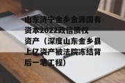 山东济宁金乡金源国有资本2022政信债权资产（深度山东金乡县上亿资产被法院冻结背后一笔工程）