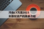 河南LY万晟2023年债权资产的简单介绍