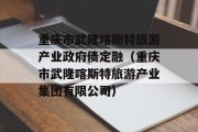 重庆市武隆喀斯特旅游产业政府债定融（重庆市武隆喀斯特旅游产业集团有限公司）