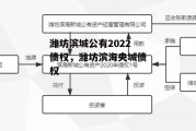 潍坊滨城公有2022债权，潍坊滨海央城债权