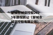 邹城市城资控股2023年债权转让（邹城市城资控股有限公司）