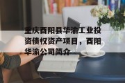 重庆酉阳县华渝工业投资债权资产项目，酉阳华渝公司简介