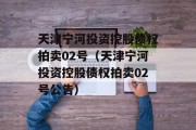 天津宁河投资控股债权拍卖02号（天津宁河投资控股债权拍卖02号公告）