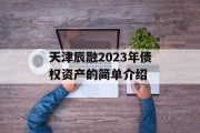 天津辰融2023年债权资产的简单介绍