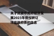 关于济源市虎岭经济发展2023年债权转让项目政府债的信息