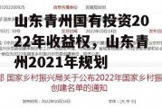 山东青州国有投资2022年收益权，山东青州2021年规划