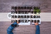 河南洛阳高新实业2023年债权资产项目（河南洛阳高新实业2023年债权资产项目有哪些）