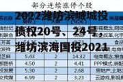 2022潍坊滨城城投债权20号、24号，潍坊滨海国投2021