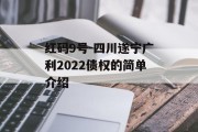 红码9号-四川遂宁广利2022债权的简单介绍