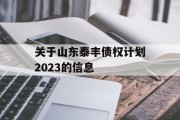 关于山东泰丰债权计划2023的信息