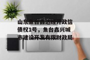 山东鱼台鑫达经开政信债权1号，鱼台鑫兴城市建设开发有限财政局