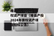 睢县产投2024年债权资产项目（睢县产投2024年债权资产项目招标公告）