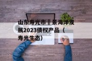 山东寿光市昇景海洋发展2023债权产品（寿光生态）