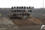 山东诸城隆嘉水务2022年债权1号、2号，2022中超联赛一共多少轮