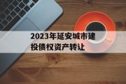 2023年延安城市建投债权资产转让