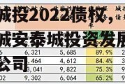 聊城市民安控股持有安泰城投2022债权，聊城安泰城投资发展有限公司