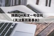 陕西QH天汉一号信托（天汉集团董事长）