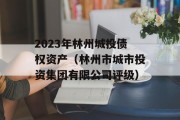 2023年林州城投债权资产（林州市城市投资集团有限公司评级）