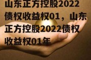 山东正方控股2022债权收益权01，山东正方控股2022债权收益权01年