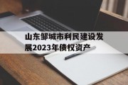 山东邹城市利民建设发展2023年债权资产