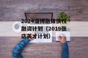 2024淄博融锋债权融资计划（2019张店英才计划）