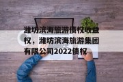 潍坊滨海旅游债权收益权，潍坊滨海旅游集团有限公司2022债权