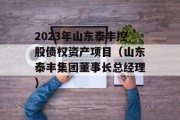 2023年山东泰丰控股债权资产项目（山东泰丰集团董事长总经理）