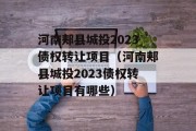 河南郏县城投2023债权转让项目（河南郏县城投2023债权转让项目有哪些）