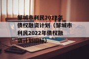 邹城市利民2022年债权融资计划（邹城市利民2022年债权融资计划招标）