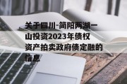 关于四川-简阳两湖一山投资2023年债权资产拍卖政府债定融的信息