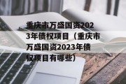 重庆市万盛国资2023年债权项目（重庆市万盛国资2023年债权项目有哪些）