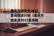 重庆万盛实业2022直接融资计划（重庆万盛实业2022直接融资计划招聘）