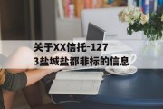 关于XX信托-1273盐城盐都非标的信息