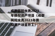 成都简阳水务2023年债权资产项目（成都简阳水务2023年债权资产项目开工）