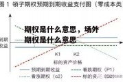 期权是什么意思，场外期权是什么意思