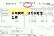 公司税号，公司税号怎么查