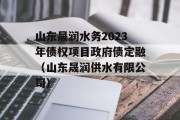 山东晟润水务2023年债权项目政府债定融（山东晟润供水有限公司）