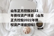 山东正方控股2022年债权资产项目（山东正方控股2022年债权资产项目招标）