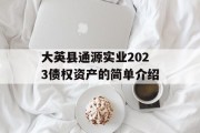 大英县通源实业2023债权资产的简单介绍