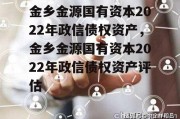 金乡金源国有资本2022年政信债权资产，金乡金源国有资本2022年政信债权资产评估