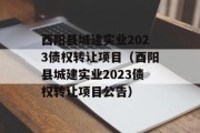 酉阳县城建实业2023债权转让项目（酉阳县城建实业2023债权转让项目公告）