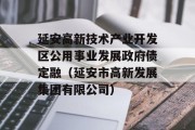 延安高新技术产业开发区公用事业发展政府债定融（延安市高新发展集团有限公司）