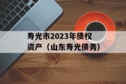 寿光市2023年债权资产（山东寿光债务）