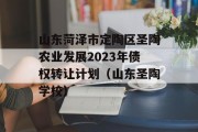 山东菏泽市定陶区圣陶农业发展2023年债权转让计划（山东圣陶学校）