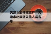 天津北辰债权资产，天津市北辰区失信人员名单