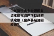 山东济宁金乡金源国有资本债权资产项目政府债定融（金乡县经济园改造）