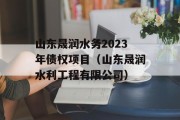 山东晟润水务2023年债权项目（山东晟润水利工程有限公司）