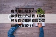 山东梁山经发2024年债权资产项目（梁山经发投资集团有限公司薪酬方案试行）